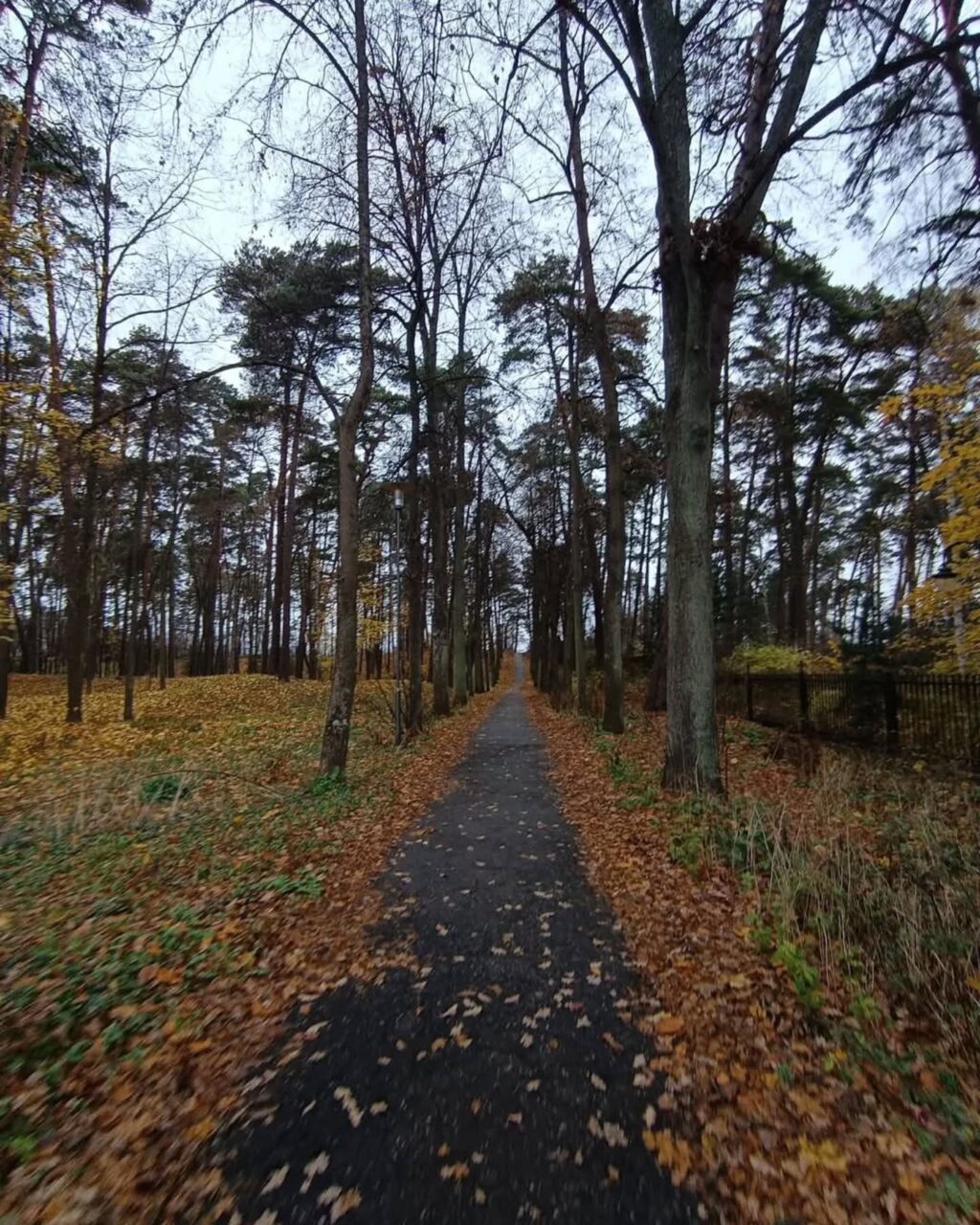 Instagram post from salvadoredgardootero. This post is in position 6.