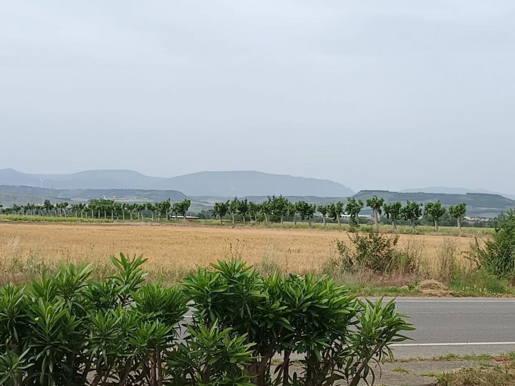 Instagram post from salvadoredgardootero. This post is in position 14.