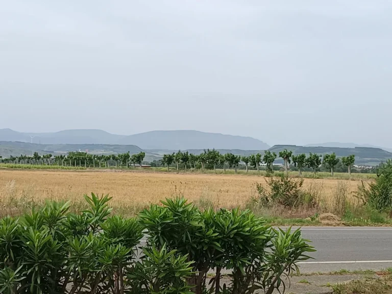 Instagram post from salvadoredgardootero. This post is in position 14.